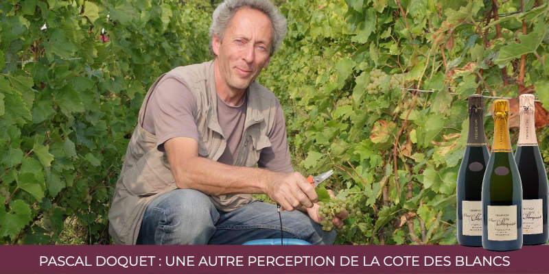Champagne Pascal Doquet : une autre perception de la cote des blancs